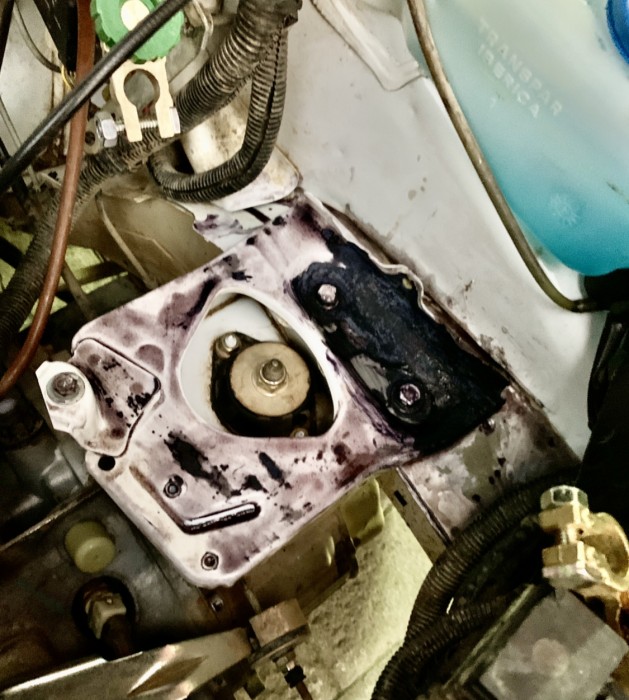 D6873C88-A871-497A-B3D2-43BE9D940339.jpeg (1.3 MiB) Visto 12527 veces No me preocupe mucho en la estética, preferí tapar todos las posibles picaduras, total toca esmaltar