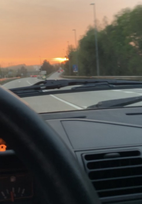 8648A37D-526B-4EA9-A966-CB79AA557862.jpeg (859.67 KiB) Visto 9017 veces Una mañana preciosa