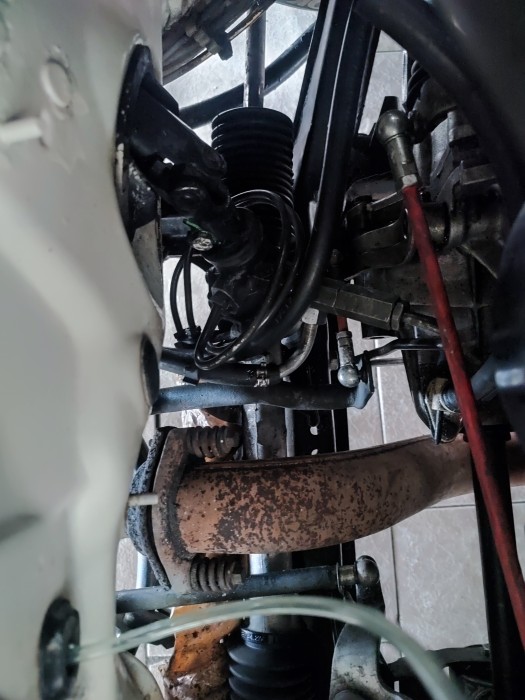 IMG_20240920_140837[1].jpg